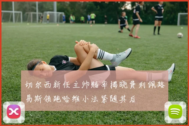 切尔西新任主帅赔率揭晓费利佩路易斯领跑哈维小法紧随其后