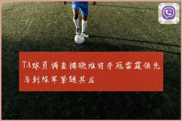 TA球员调查揭晓谁将夺冠雷霆领先马刺绿军紧随其后